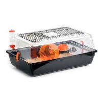 Sharples 'N' Grant Clear N Fun Orange