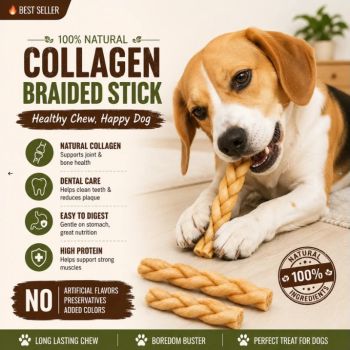  PETRIX Collagen Braided Sticks 12" - 4 Pcs 
