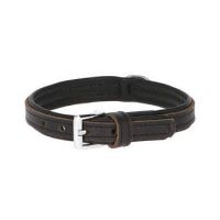 NECK COLLAR VEGAS 82029