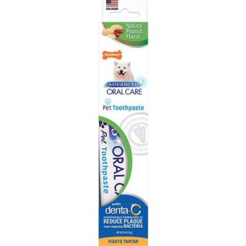  Nylabone Advanced Oral Care Natural Peanut Flavored Dog Toothpaste 