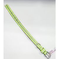 LILLIDALE DOG COLLAR YELLOW GREEN