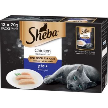  Sheba Fine Wet Cat Food Pouch Chicken Premium Loaf 12X70G 