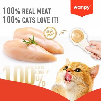  WANPY Lickable Cream Spoon – Salmon For Cat – (16g x 10pcs/box) 