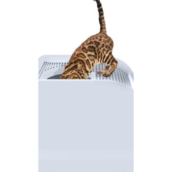  IMAC FRIDA Cat Toilets Green 40x56x43.5cm 