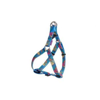  Color Harness  - Xsmall 