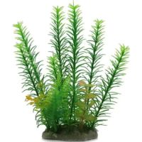 Aquabroo Plastic Plant