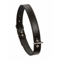 Beeztees Leather Collar Black 37cm X 12m