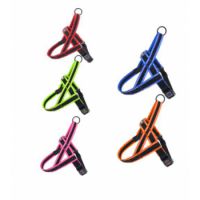 DOCO  Athletica City Walker Mesh Harness  M  2.0 x 55 58-70cm