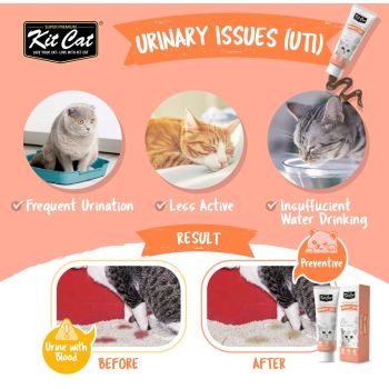  Kit Cat Daily Nutritional Supplement Gel For Cats & Kittens – Urinary Care (120g) 