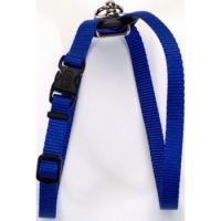 Coastal 3 4 And Size Right Harness Medium Blue