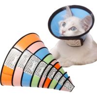 Saas Cat Elizabeth Collar #8