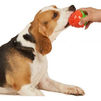  FOFOS Tough Fruit Silence Strawberry Dog Toys 