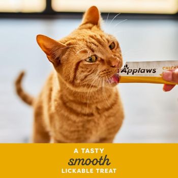  Applaws Chicken Creamy Lickable Cat Treats 4x15g 