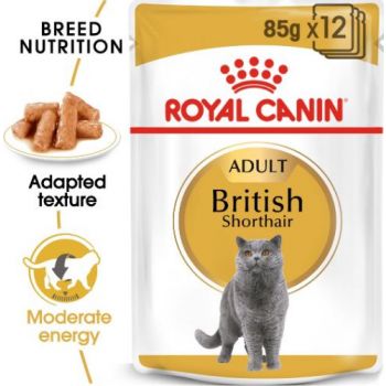  Royal Canin Cat Wet Food - Feline Breed Nutrition British Shorthair 85G (Pouches) 