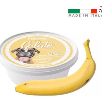  FidoVet Gelato Ice Cream for Dogs (Banana) (Powder) 