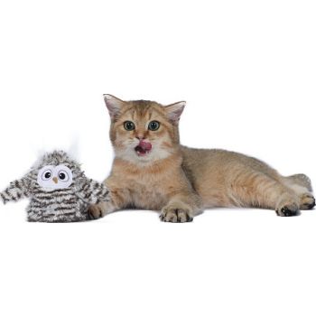  FOFOS Swinging Owl Interactive Cat Toy 