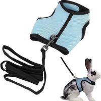 Small Animal Harness Set Small