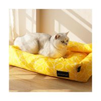 Petbroo Beds  Cushion 70cm