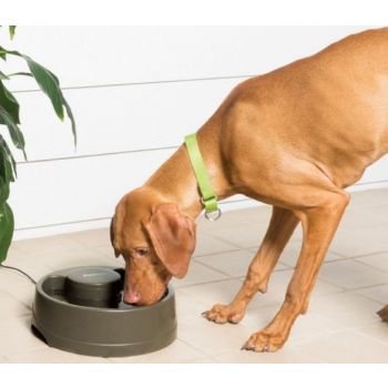  Water Fountain Drinkwell® Current Pet Fountain- Small- UK Adaptor 