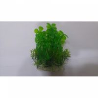Sea Star Aquarium Plant PLT459M