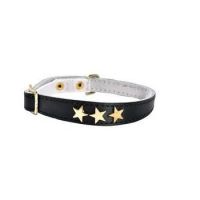 Etoiles  Cat Collar  Blue Color 30mm