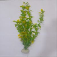 Sea Star Aquarium Plant PLT1215S