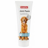 Joint paste