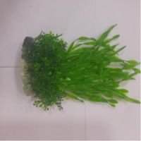 Sea Star Aquarium Plant PLT455M