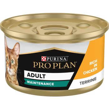  PURINA PRO PLAN ADULT MAINTENANCE, WET CAT FOOD, TERRINE RICH IN CHICKEN 85G 