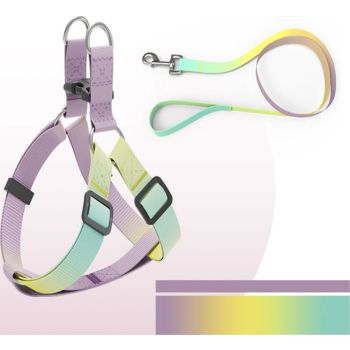  Helepet Flat Pet Leash Harness-Plastic Buckle Green Rainbow Small   Small: 10mm*250-300mm 