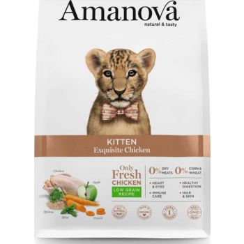  Amanova Dry Kitten Exquisite Chicken - 1.5kg 