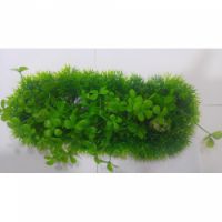 Sea Star Aquarium Plant PLT945M