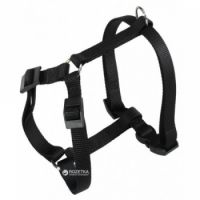 CHAMPION P XL HARNESS BLACK