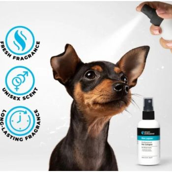  Groom Professional Blue Lagoon Cologne[Perfume]-Sweet Breeze Scent-200ml 