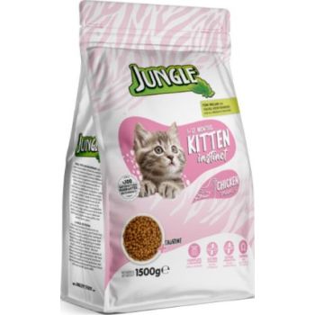  Jungle Kitten with Chicken 15 kg 