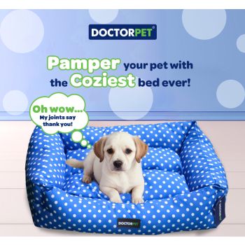  DOCTOR PET BED MAKARON SERIES VR02 MEDIUM 70 x 60 x 22 cm 