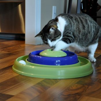  Catnip Hurricane™ Cat Toys 