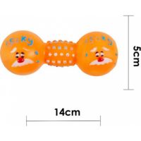 Vinyl squeaky Dog toys