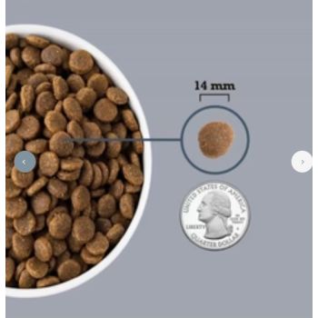  Acana Light and Fit Recipe Dry Dog Food - 2KG 