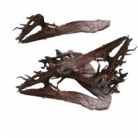 KW ZONE AQUARIUM DRIFT WOOD (A GRADE)SIZE : XL