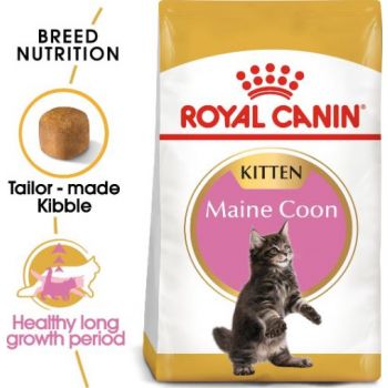  Royal Canin Maine Coon Kitten Dry Food 2 KG 