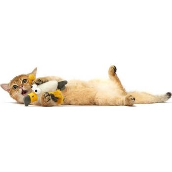  FOFOS Sound Chip Eagle With Catnip Balls Cat Toy 