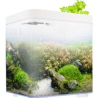 KW Zone Dophin 7L Mini Betta Tank Kit without Temperature Display