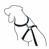 ThunderLeash L