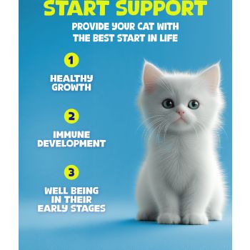  My Food Chicken Kitten Food Start Support 1.5 Kg 