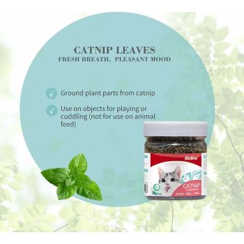  Bioline Catnip Leaves 230ml 