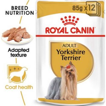  Royal Canin Yorkshire Dog Wet Food 85g (pouches) 