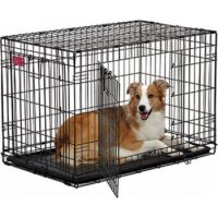 Contour Double Door Dog Crate 36″