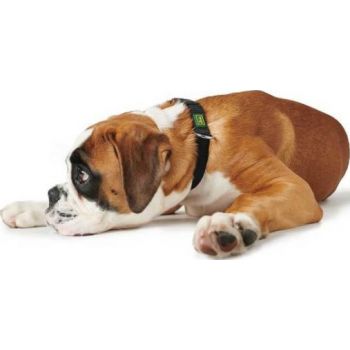  Hunter Vario Basic Dog Collar Brown Small  22 – 35 cm 