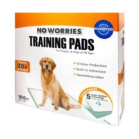 FOUR PAWS NO WORRIES 22X22 INC PADS 1/100CT BOX